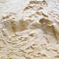 NCSU GeoForAll Lab logo